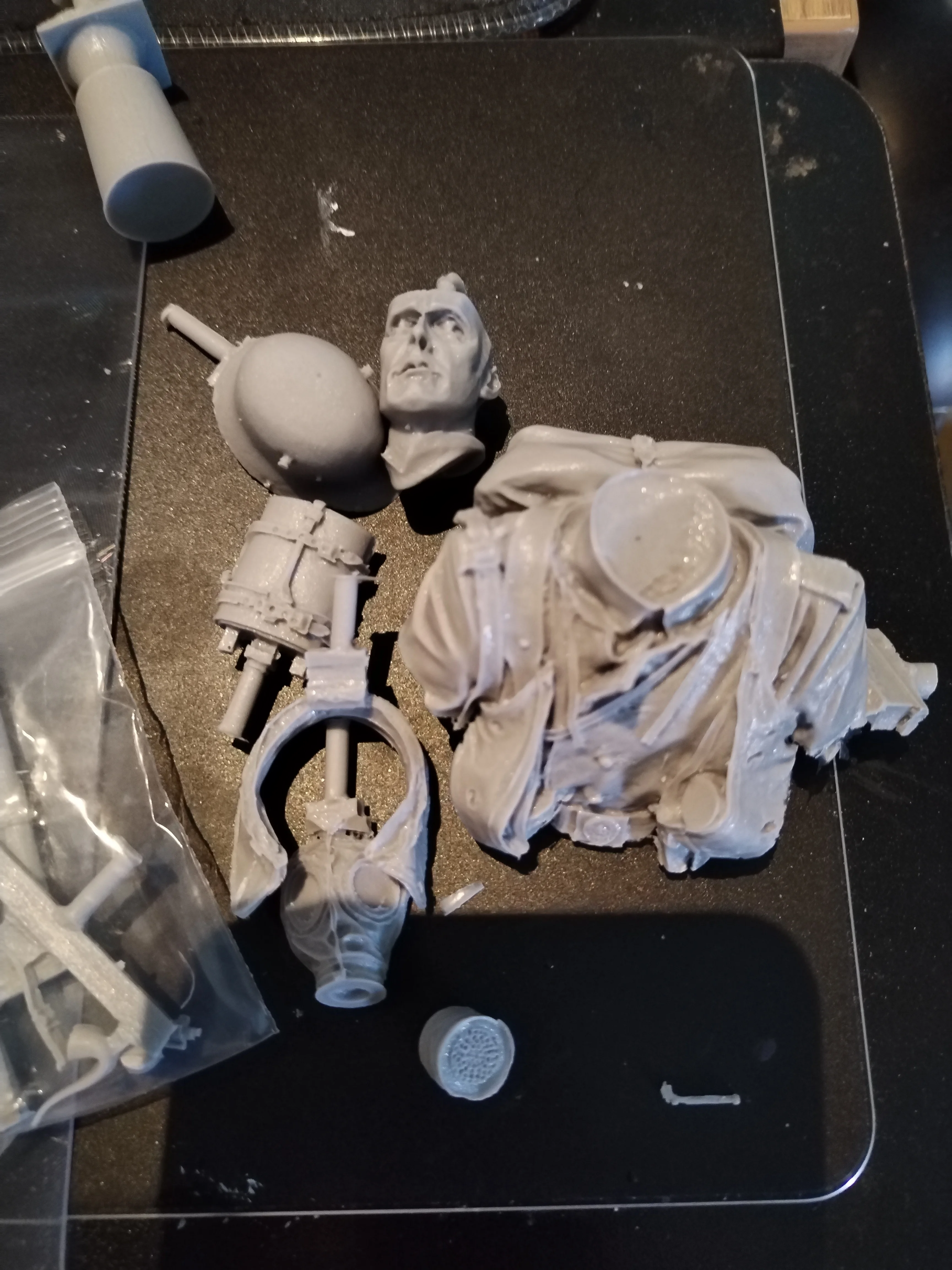 Buyer photo of this resin kit