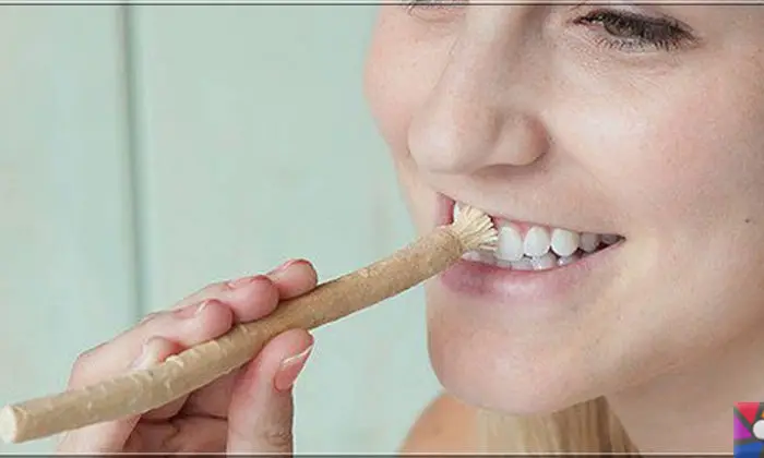 신선한 칫솔 무슬림 Miswak 천연 Siwak Arak 치아 클리너, 부드러운 친환경 브러시, 아랍어 터키어, 60 개