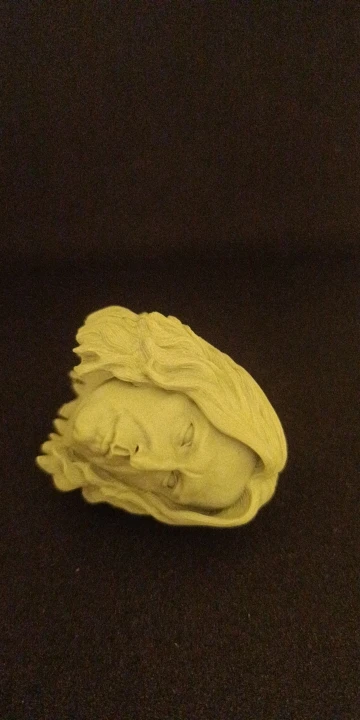Buyer photo of this resin kit