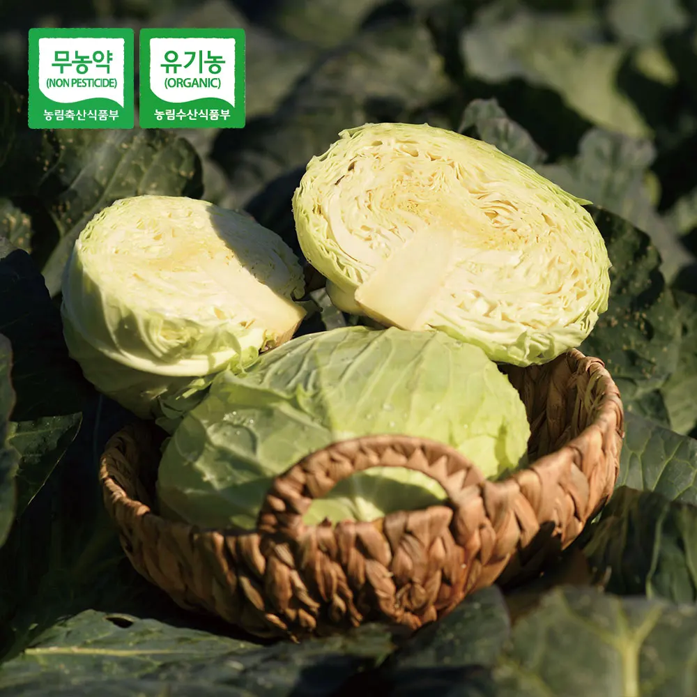 3kg of organic fresh cabbage in Jeju