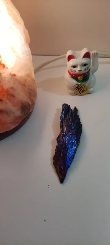 리뷰 사진