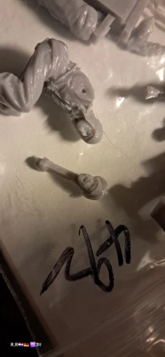 Buyer photo of this resin kit