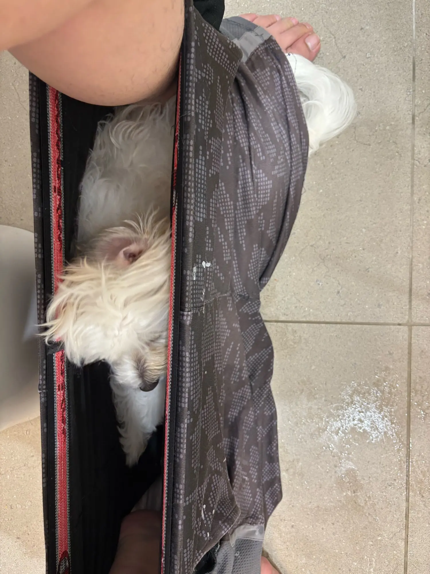 Customer review photo