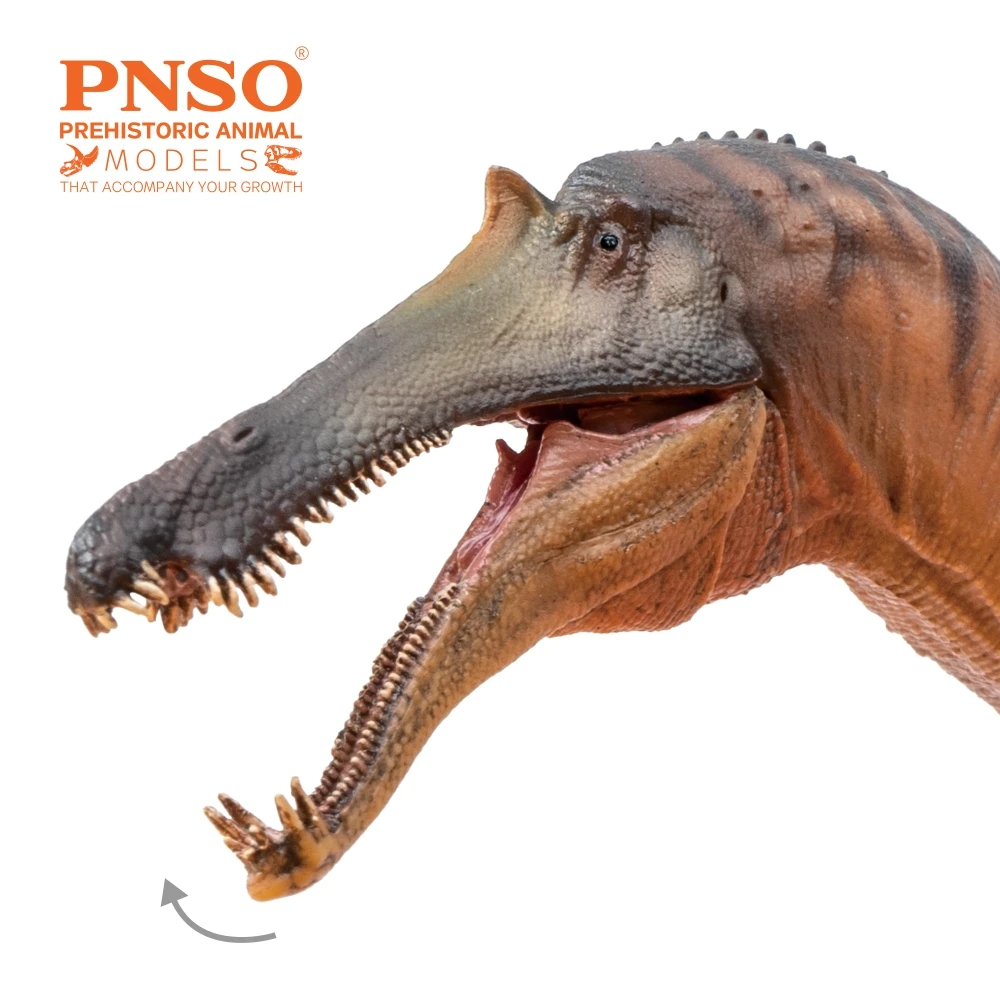 PNSO Prehistoric Dinosaur Models:66 Chongzuo the Sinopliosaurus