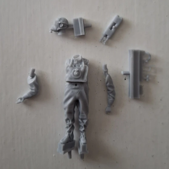 Buyer photo of this resin kit