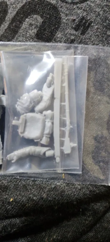 Buyer photo of this resin kit