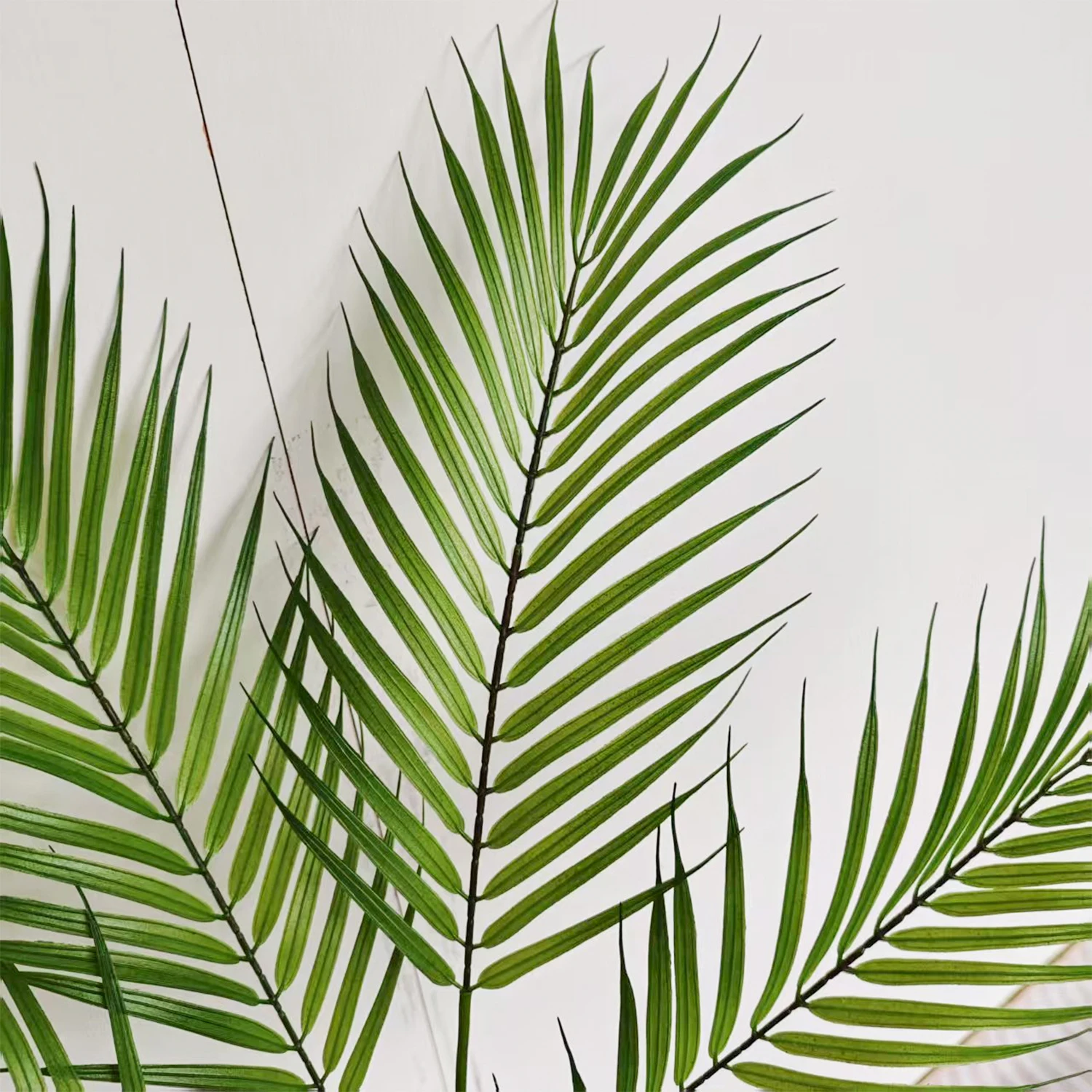 1,2m-1,8m Künstliche Areca-Palme Große Künstliche Tropische Pflanze für Innendekoration Künstlicher Topf-Palmenbaum für Wohnzimmer Büro Hotel – Detail 6