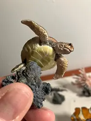 Imagen de reseña 4