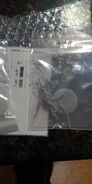 Buyer photo of this resin kit