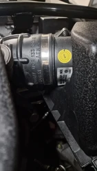 Imagen de reseña 4