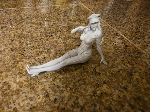 Buyer photo of this resin kit