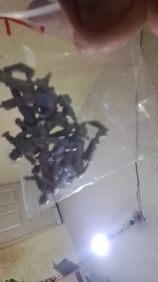 Buyer photo of this resin kit