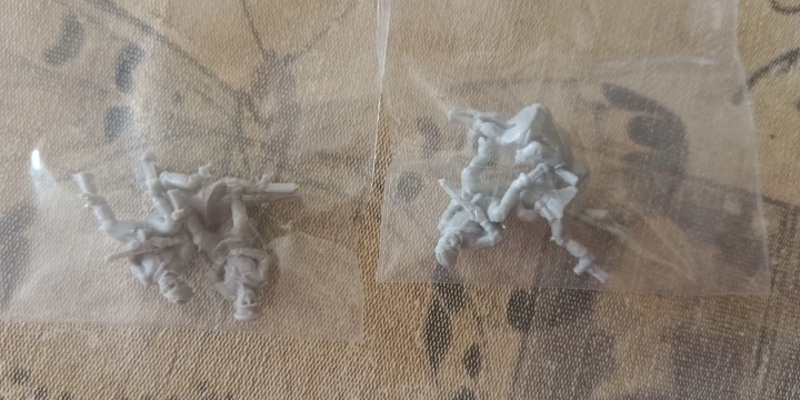 Buyer photo of this resin kit