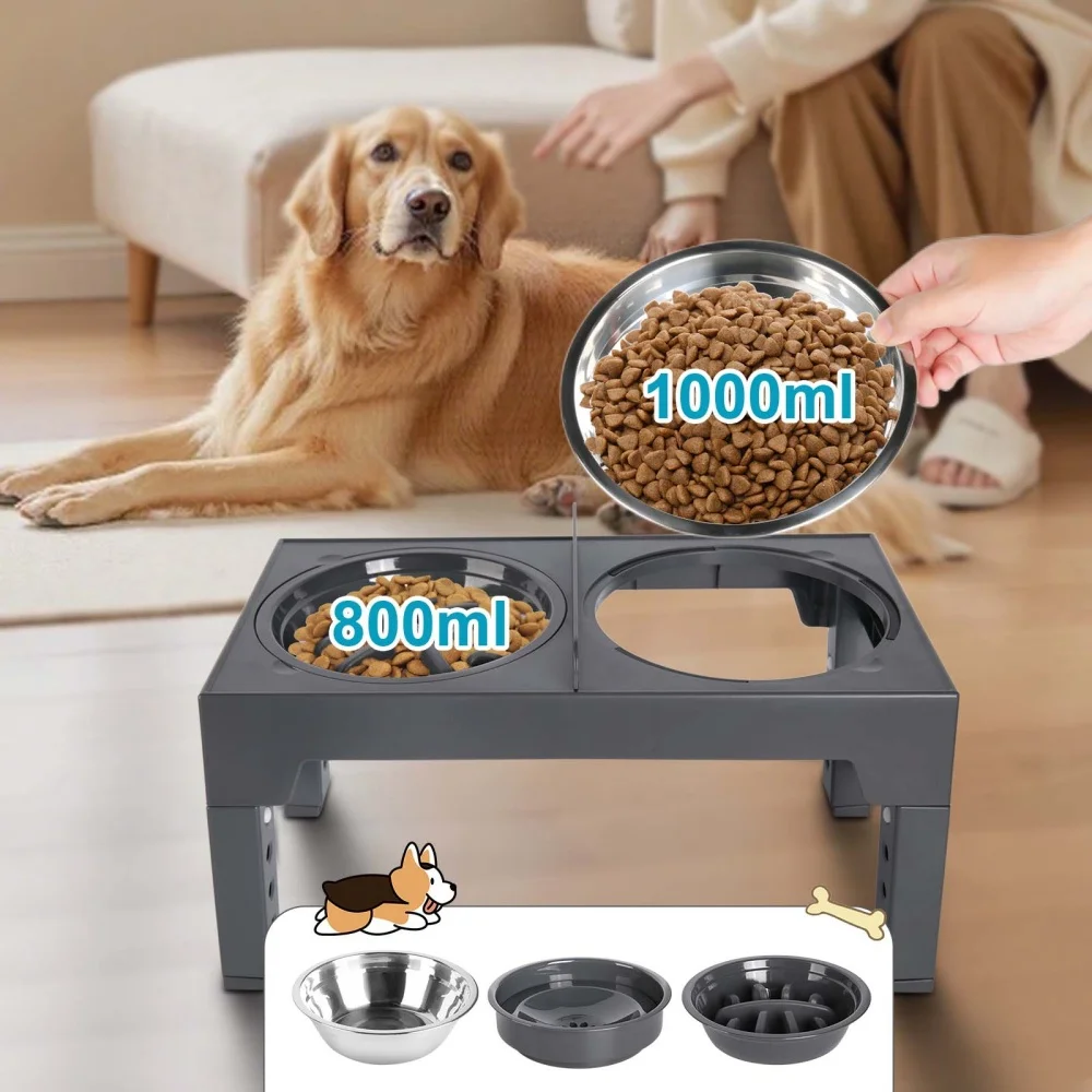 Gamelles pour chien faciles à nettoyer
