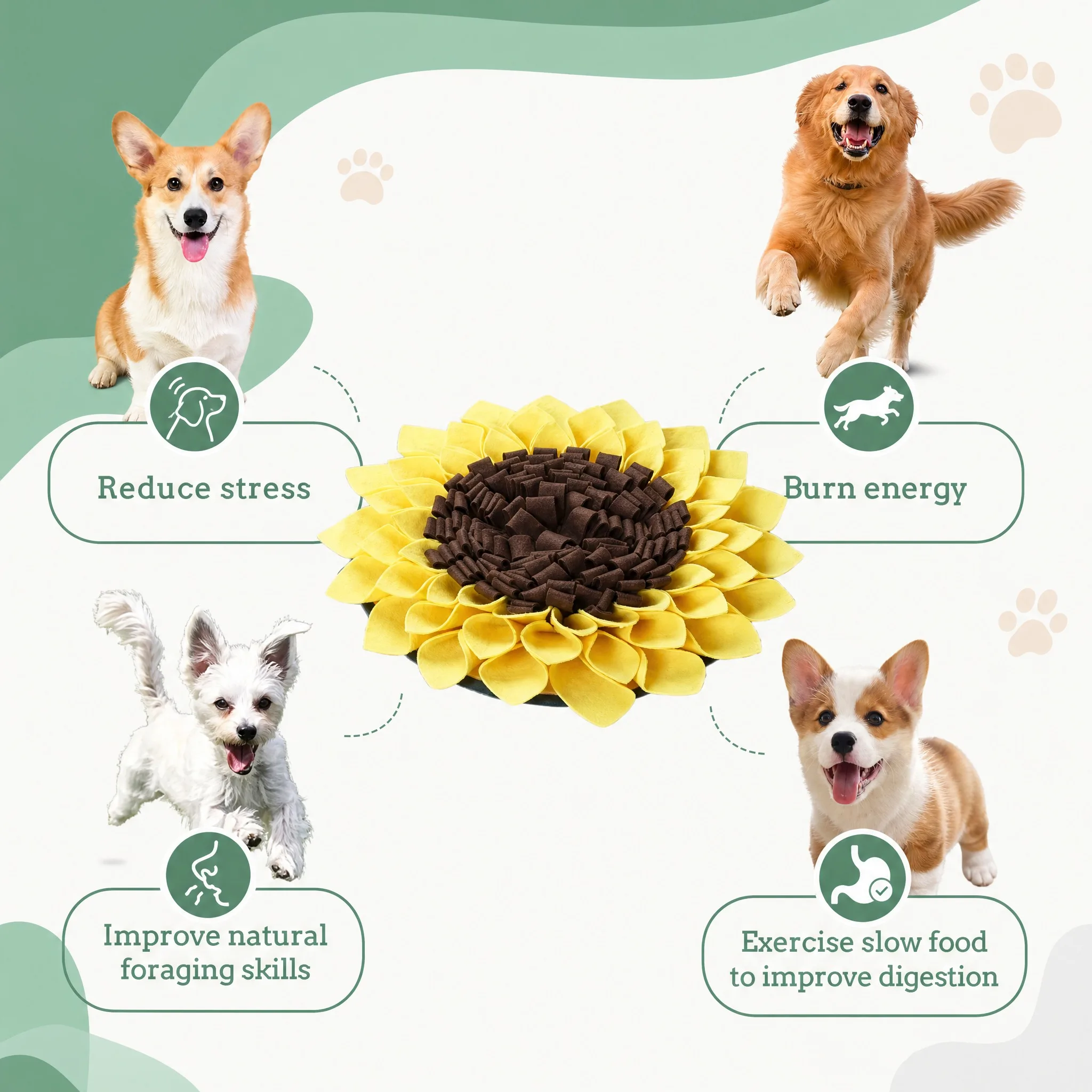 Thumbnail 4 - #12 Budget Puppy Feeding Mats for Smart Shoppers