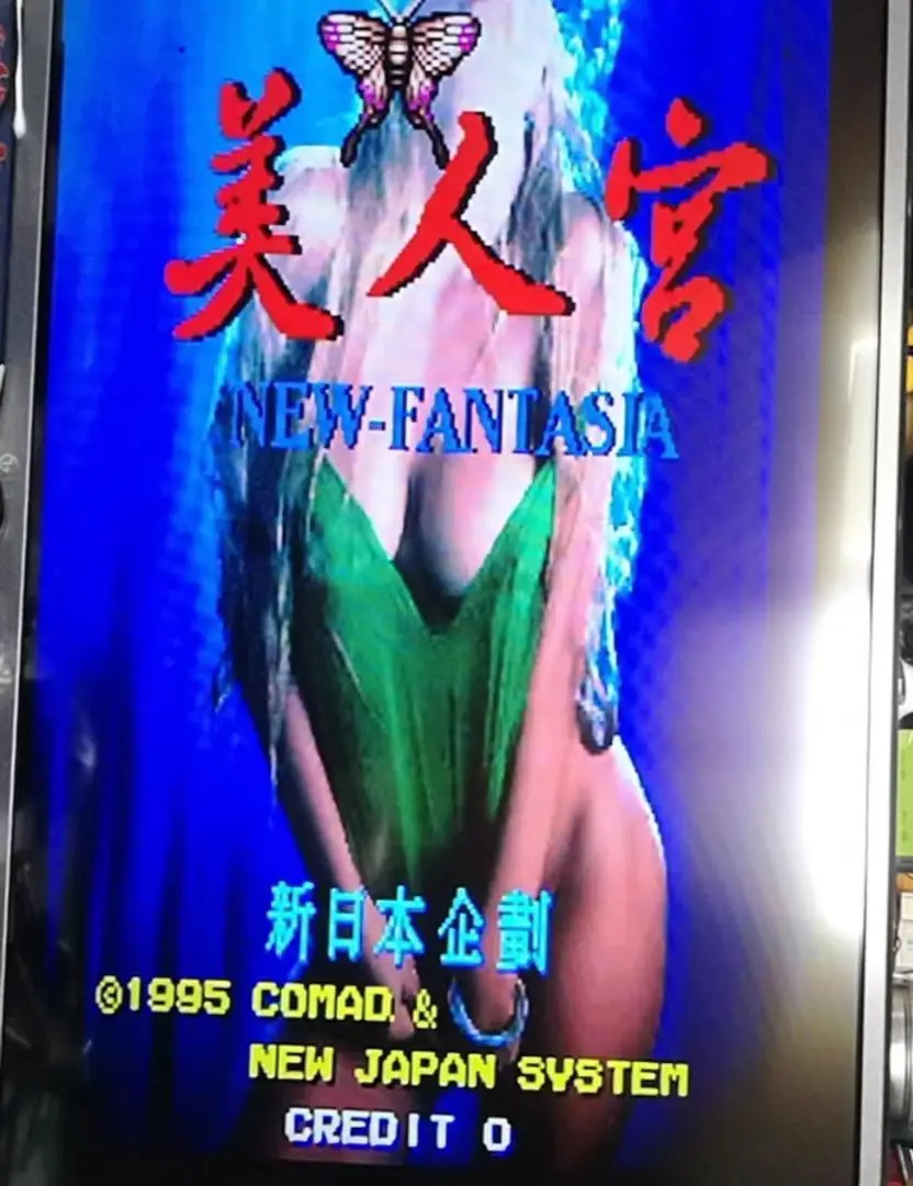 

Gals Panic Arcade PCB New Fantasia Jamma PCB Retro Classic Games