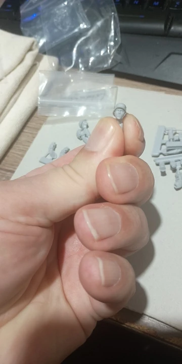 Buyer photo of this resin kit