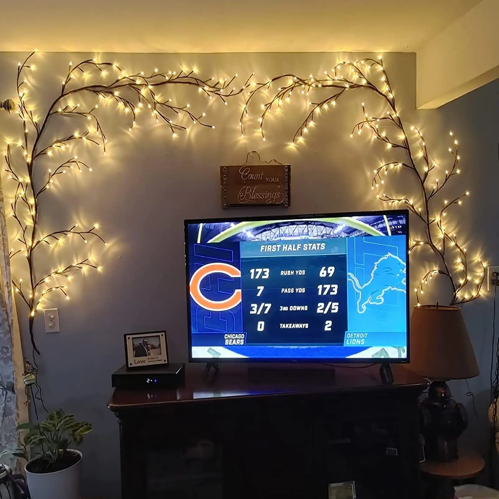 أضواء كرمة الصفصاف المسحورة للجدار: ضوء فرع شجرة وامض بطول 7.5 أقدام للغرفة وديكور المنزل - ضوء شجرة حائط أبيض دافئ