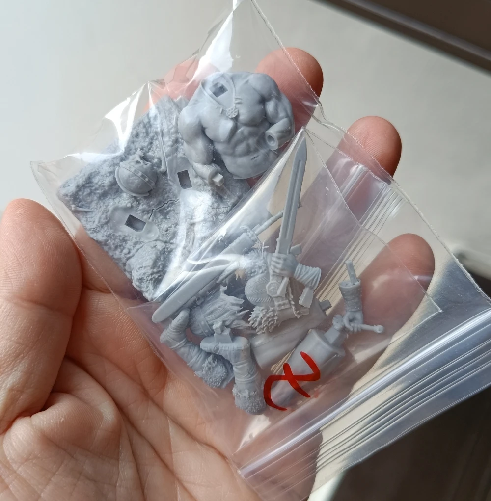 Buyer photo of this resin kit