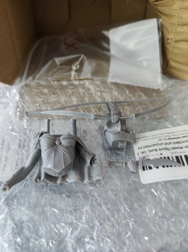 Buyer photo of this resin kit