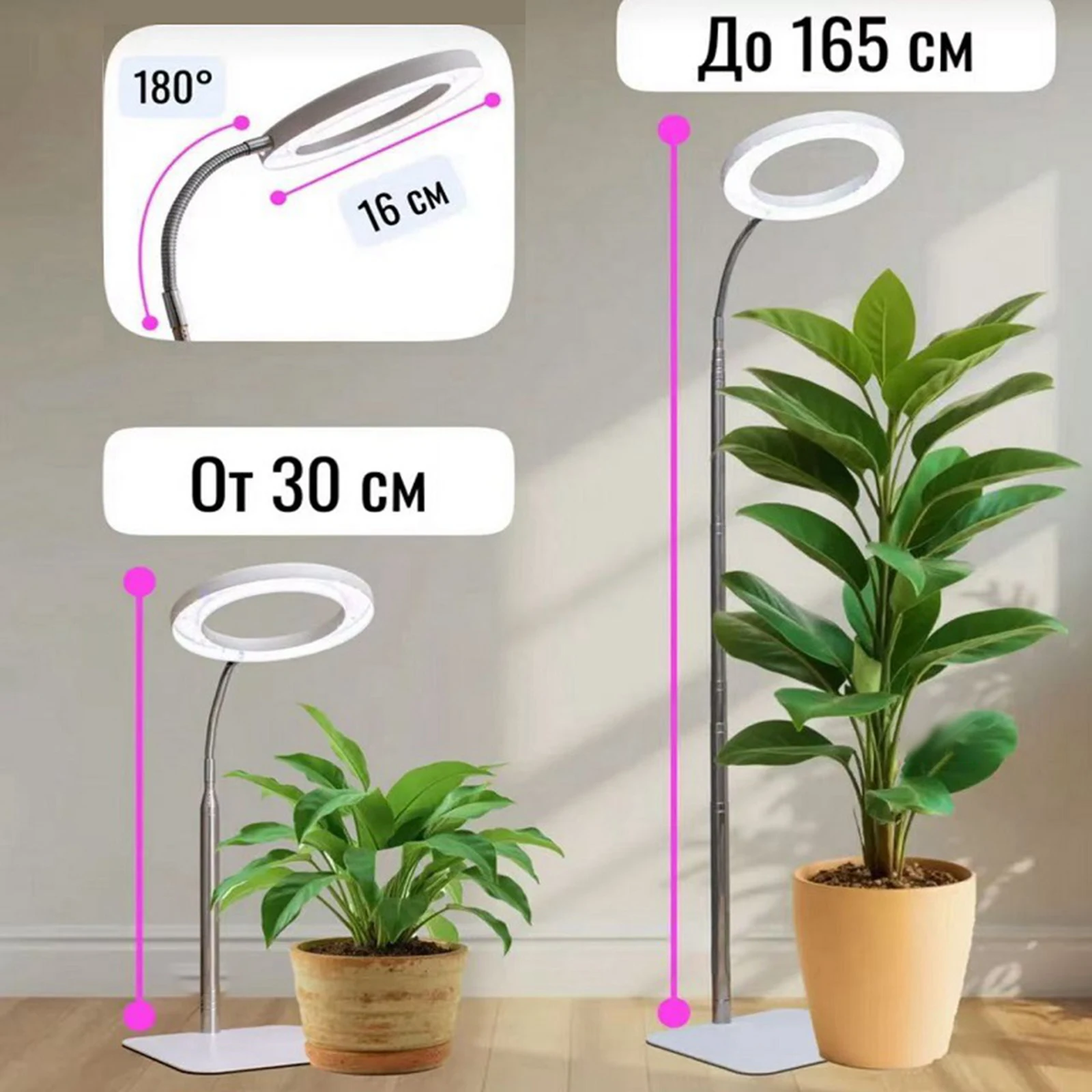 Plants Grow Light Full Spectrum Indoor Ring Grow Lamp Adjustable Height 3/9/12h Timer 3 Lighting Mode with 10 Dimmable Levels