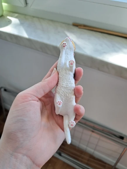 실물 포토 리뷰