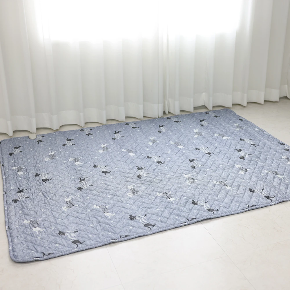 كوري-ياباني نمط جرو مدفأ بالكربون طبي ، فردي محلي ، صوفي