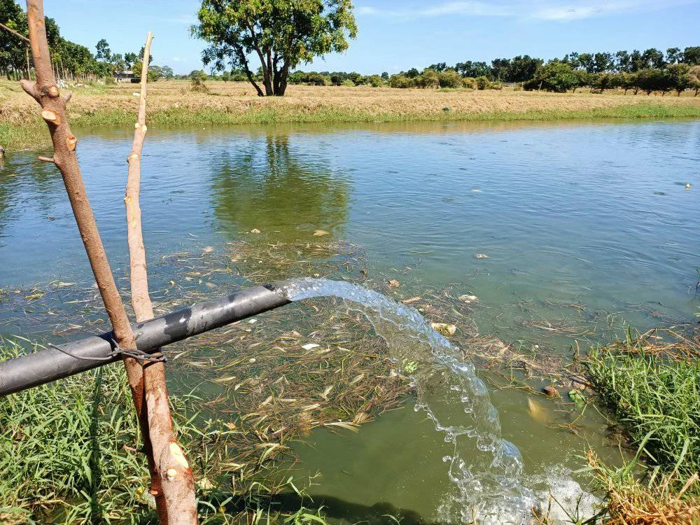 

48-вольтовый бесщеточный солнечный погружной водяной насос постоянного тока для сельского хозяйства, ирригационный спринклерный насос, свернутые насосы с солнечной батареей