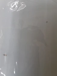 Imagen de reseña 4