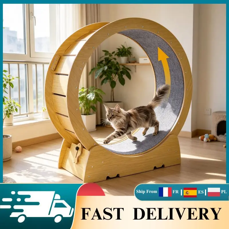 Image of Katzen-Laufrad mit Geräuscharmen TPE-Rollen, Stabil, Kippsicher, für Innenbereich, Einfach zu Montieren, Teppichbahn, Katzen-Laufband-Spielzeug