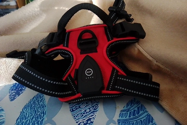 LED Light-Up Dog Harness — Rechargeable Night Vest photo review