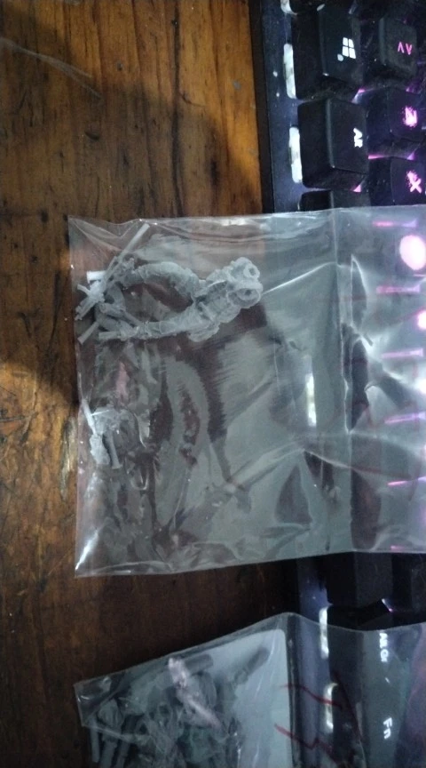 Buyer photo of this resin kit