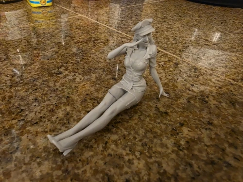 Buyer photo of this resin kit