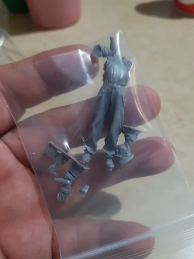 Buyer photo of this resin kit