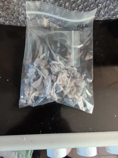 Buyer photo of this resin kit
