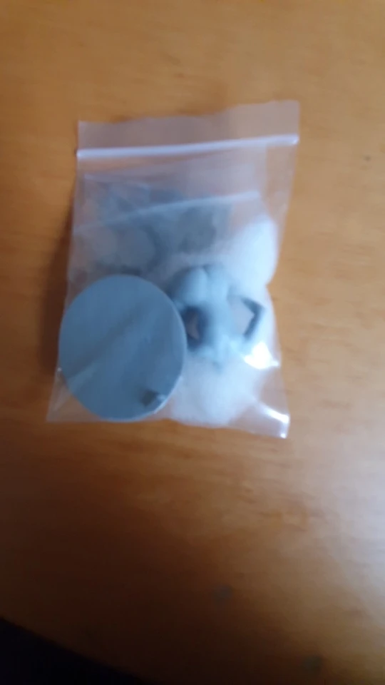 Buyer photo of this resin kit