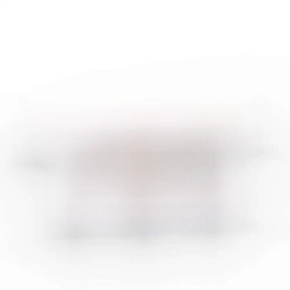 MOC 10 pièces 48729 Bar 1L avec Clip blocs de construction Kit bords de griffe mécanique idée de particules jouets éducatifs cadeau d'anniversaire pour enfants