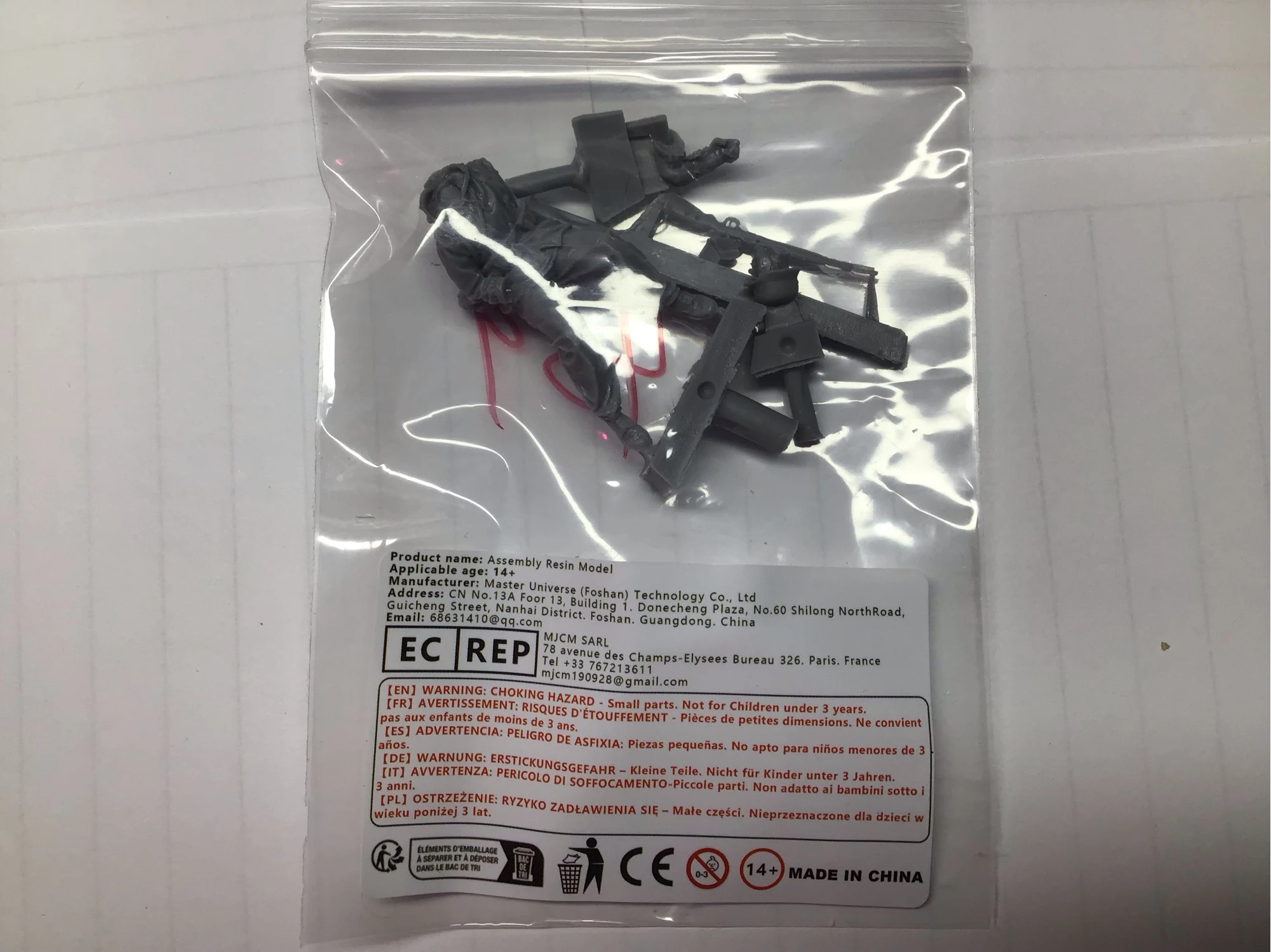 Buyer photo of this resin kit