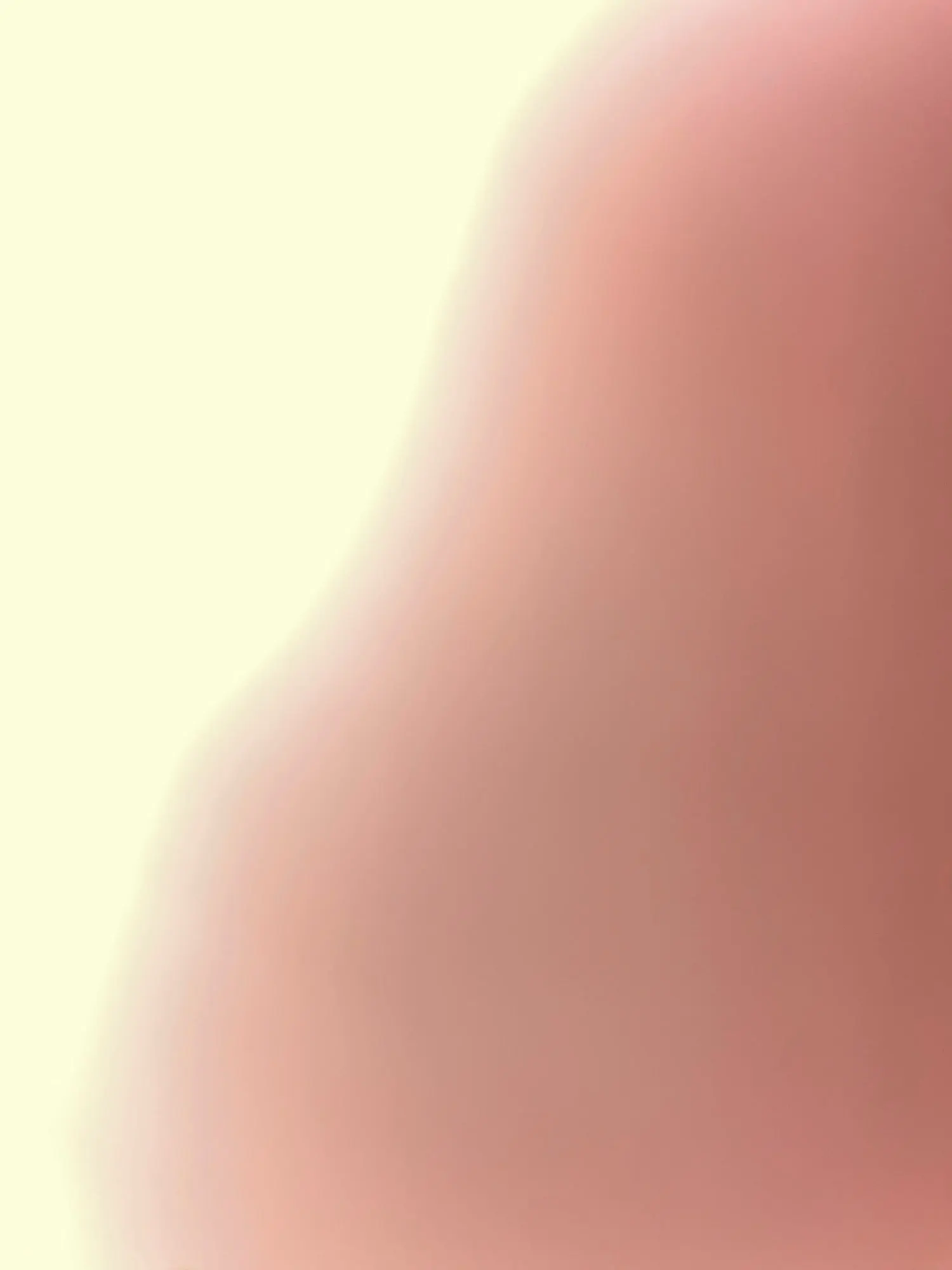 실물 포토 리뷰