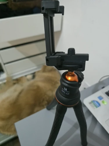 실물 포토 리뷰