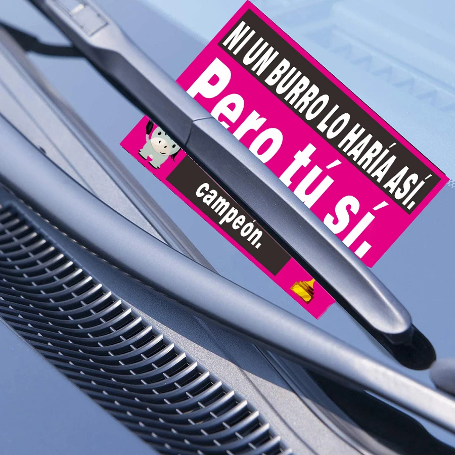 150 Pcs Spanish Parking Stickers – 5 Designs, Funny Car Labels, Matte Finish, 7x5cm, Self-Adhesive