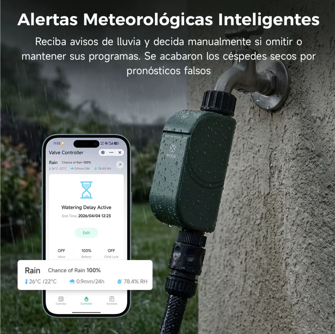 Imagen 7