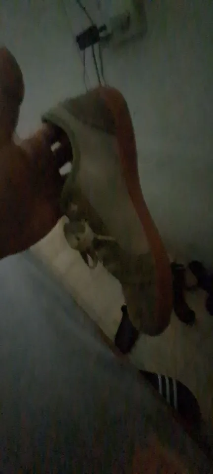 리뷰 사진