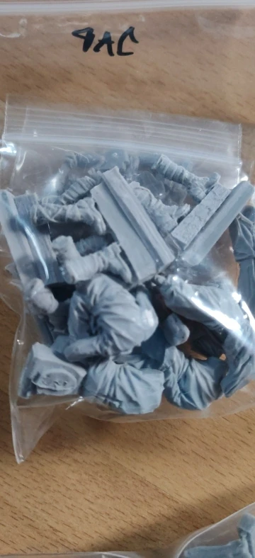 Buyer photo of this resin kit