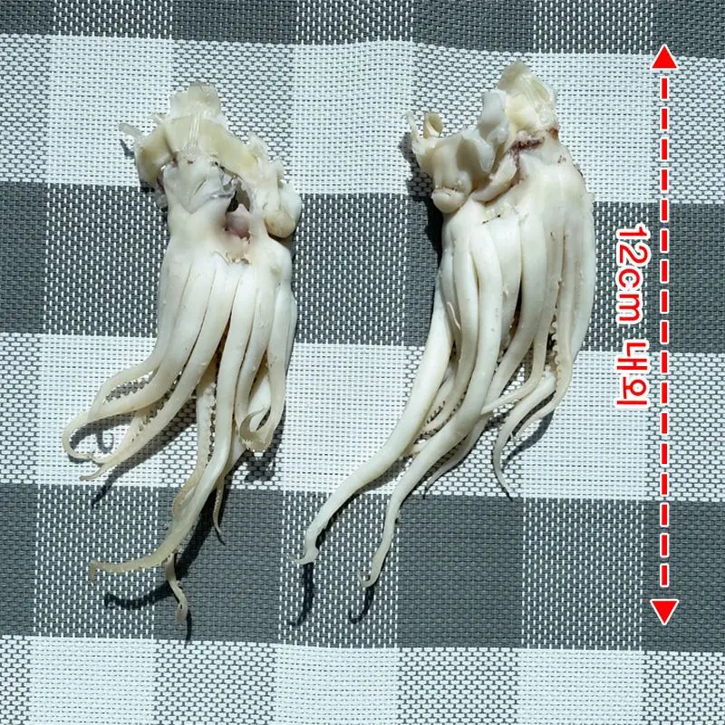 쫀쫀한 국내산 오다리 백족 국내가공 500g