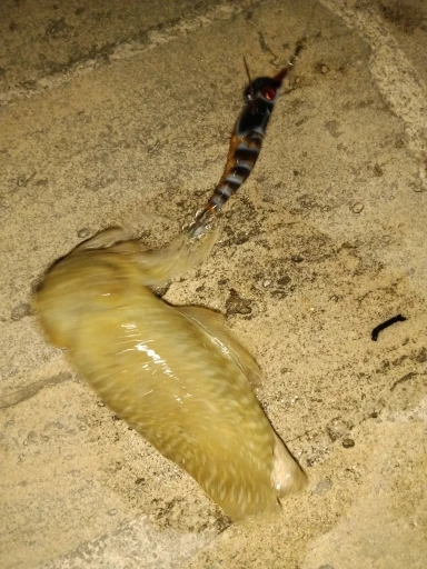 리뷰 사진