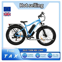 BAOLUJIE DP2619 Electric Bike 26*4.0 inch Fat Tire 750W Motor EBike 48V 13Ah Battery 45km/h Max Speed 45km Max Range LCD Display