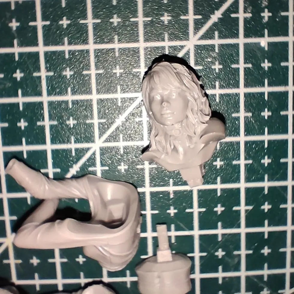 Buyer photo of this resin kit