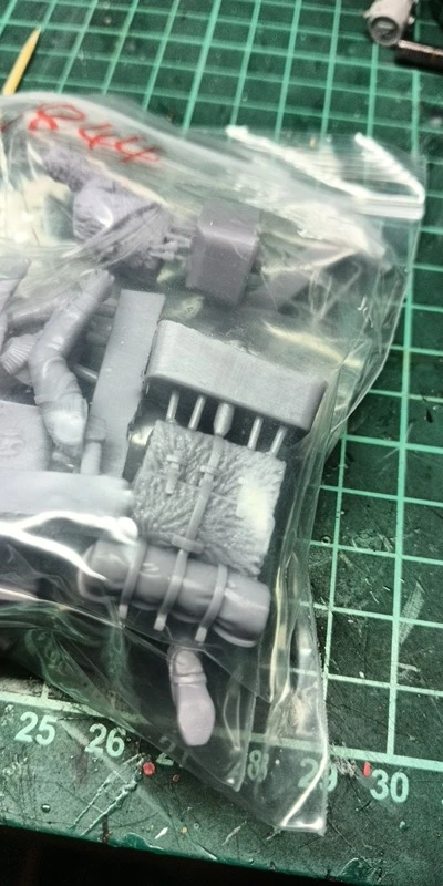 Buyer photo of this resin kit