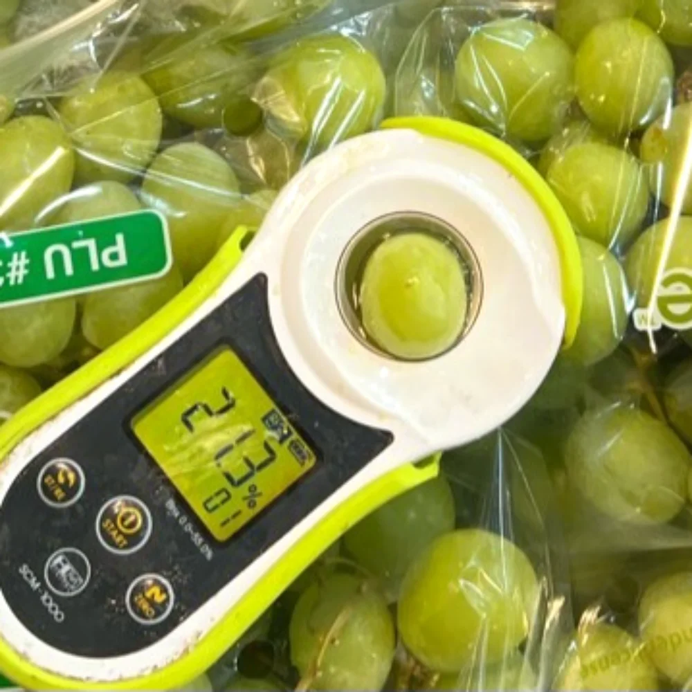 고당도 샤인머스켓 수출용 프리미엄